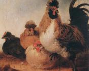 阿尔伯特 库普 : Rooster And Hens